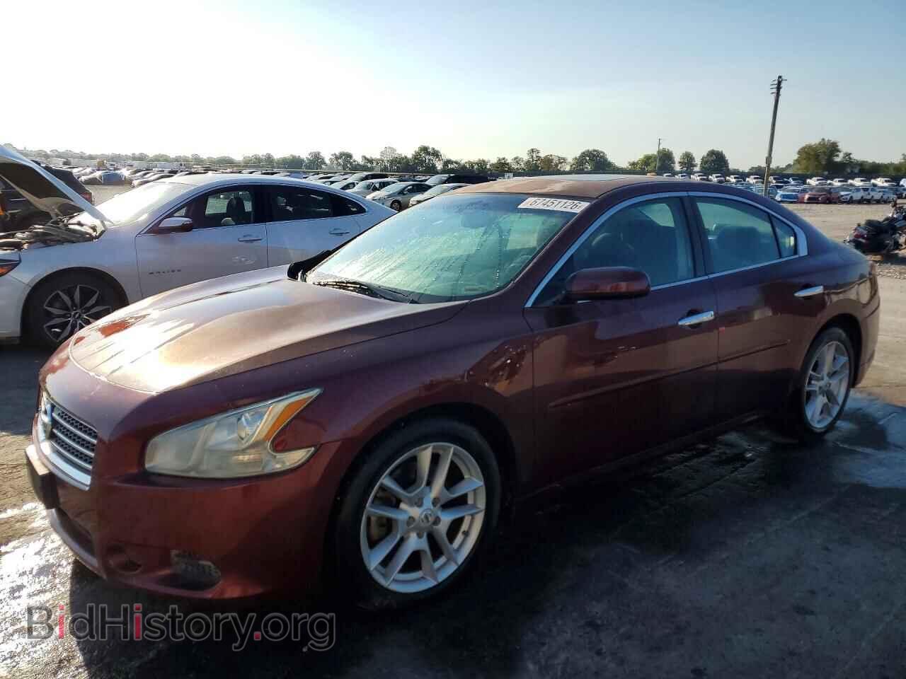 Фотография 1N4AA5AP1BC801683 - NISSAN MAXIMA 2011