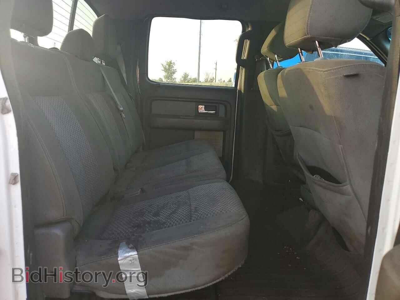 2013 FORD F150 - VIN: 1FTFW1EF6DFA43885 - Photo 10