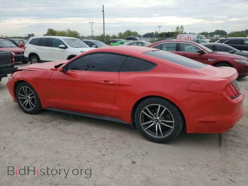 2017 Ford ALL MODELS (VIN 1FA6P8TH4H5343694) — photo 2 of 12