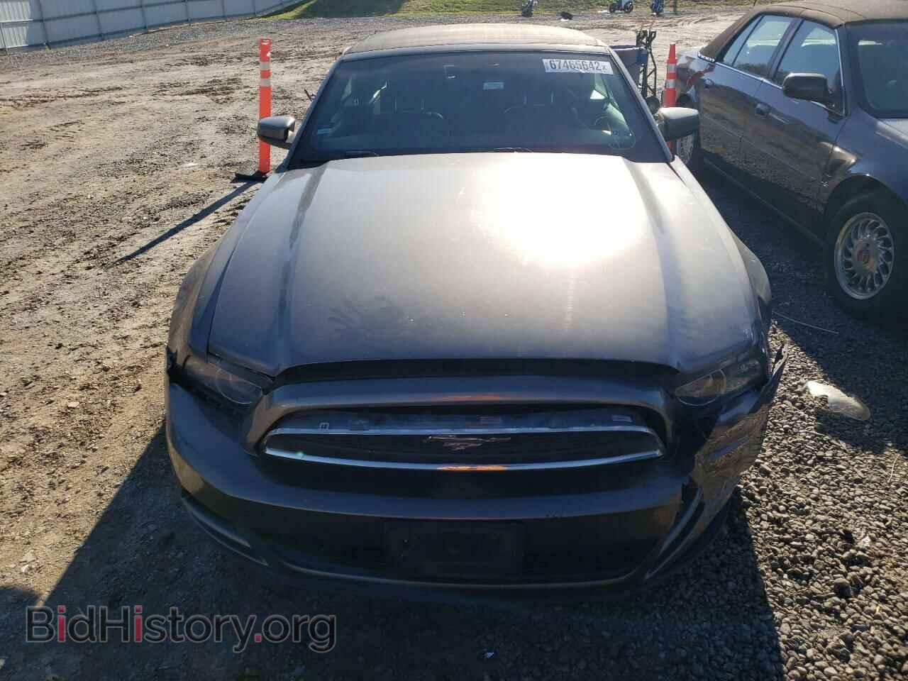 2014 FORD MUSTANG - VIN: 1ZVBP8EM8E5240032 - Фото 5