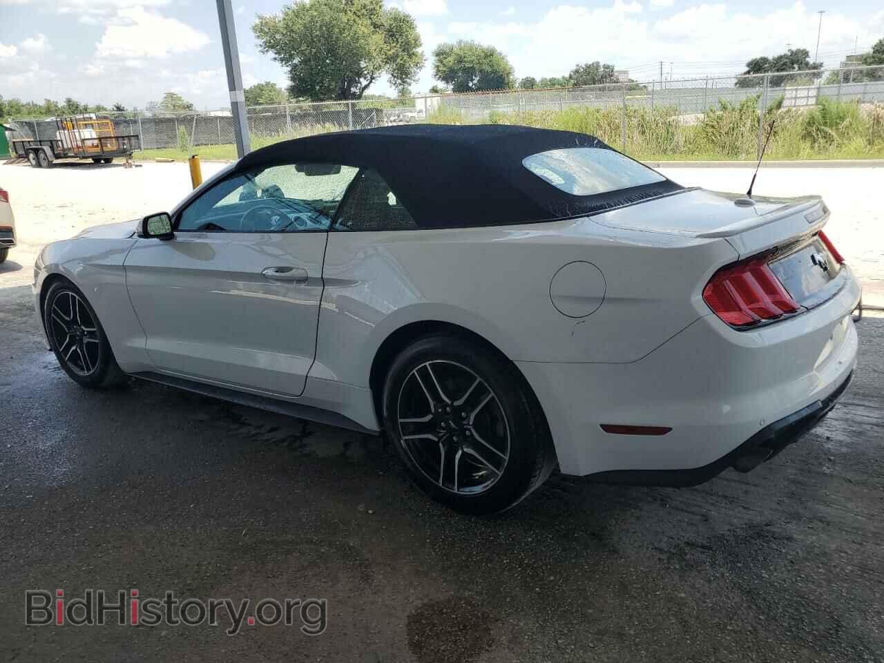 2023 FORD ALL Models - VIN: 1FATP8UH5P5105577 - Фото 2