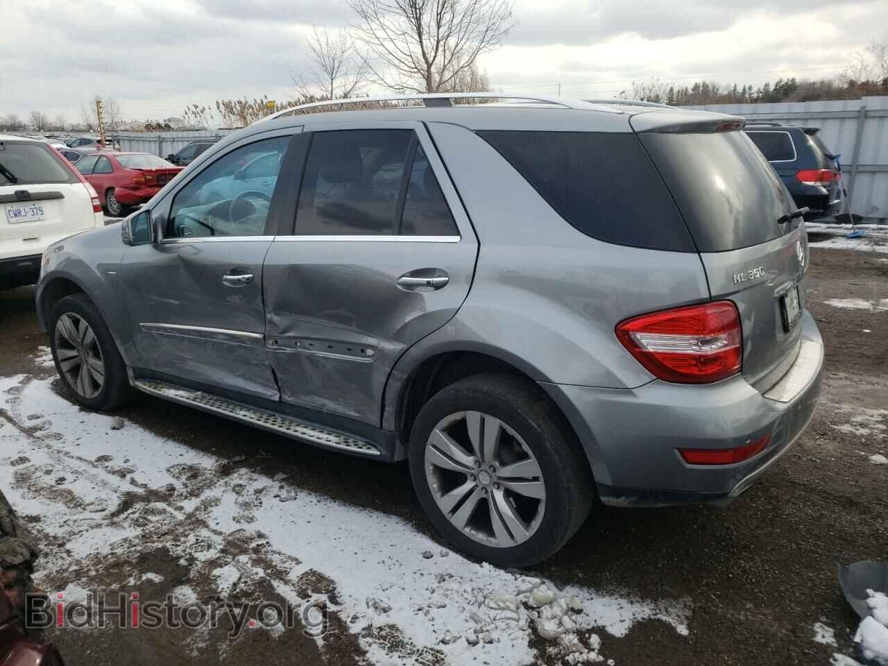 2011 MERCEDES-BENZ M-CLASS - VIN: 4JGBB2FB1BA644784 - Фото 2