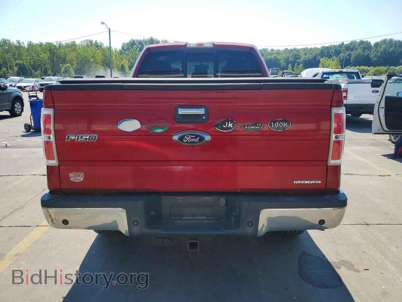 2014 FORD F150 - VIN: 1FTFX1EF1EFC65216 - Фото 6