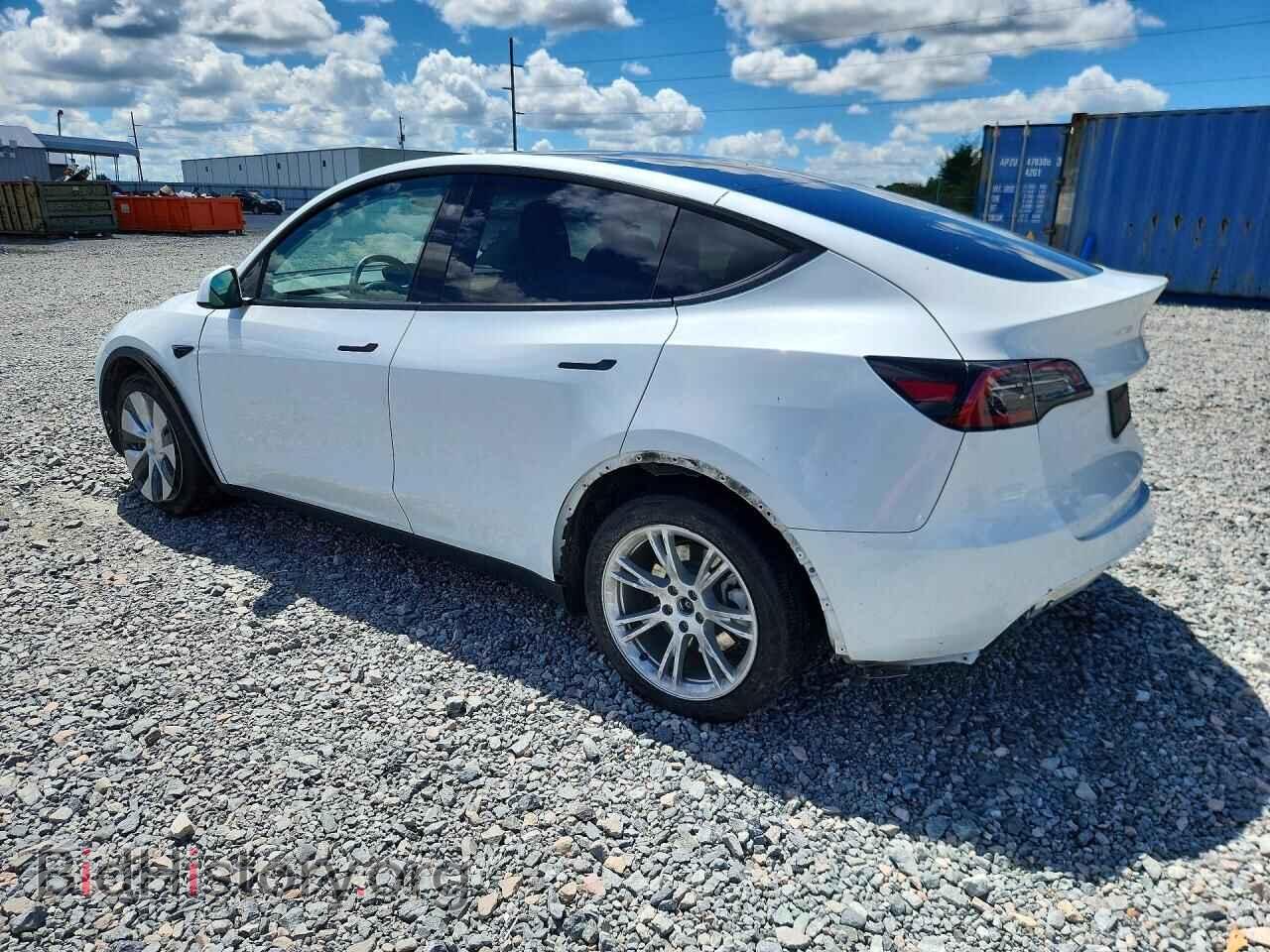 2024 TESLA MODEL Y - VIN: 7SAYGDEE7RF047490 - Фото 2