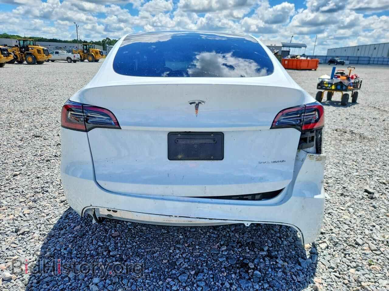 2024 TESLA MODEL Y - VIN: 7SAYGDEE7RF047490 - Фото 6