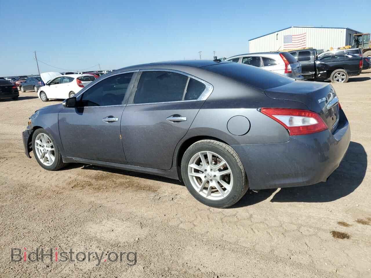 2009 NISSAN MAXIMA - VIN: 1N4AA51E99C828719 - Фото 2