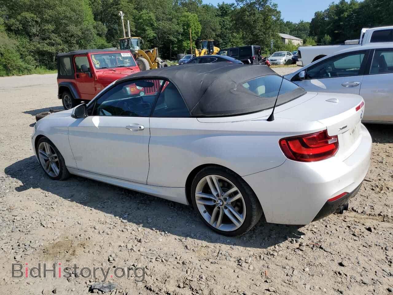 2015 BMW 2 SERIES - VIN: WBA1K7C53FV235340 - Фото 2
