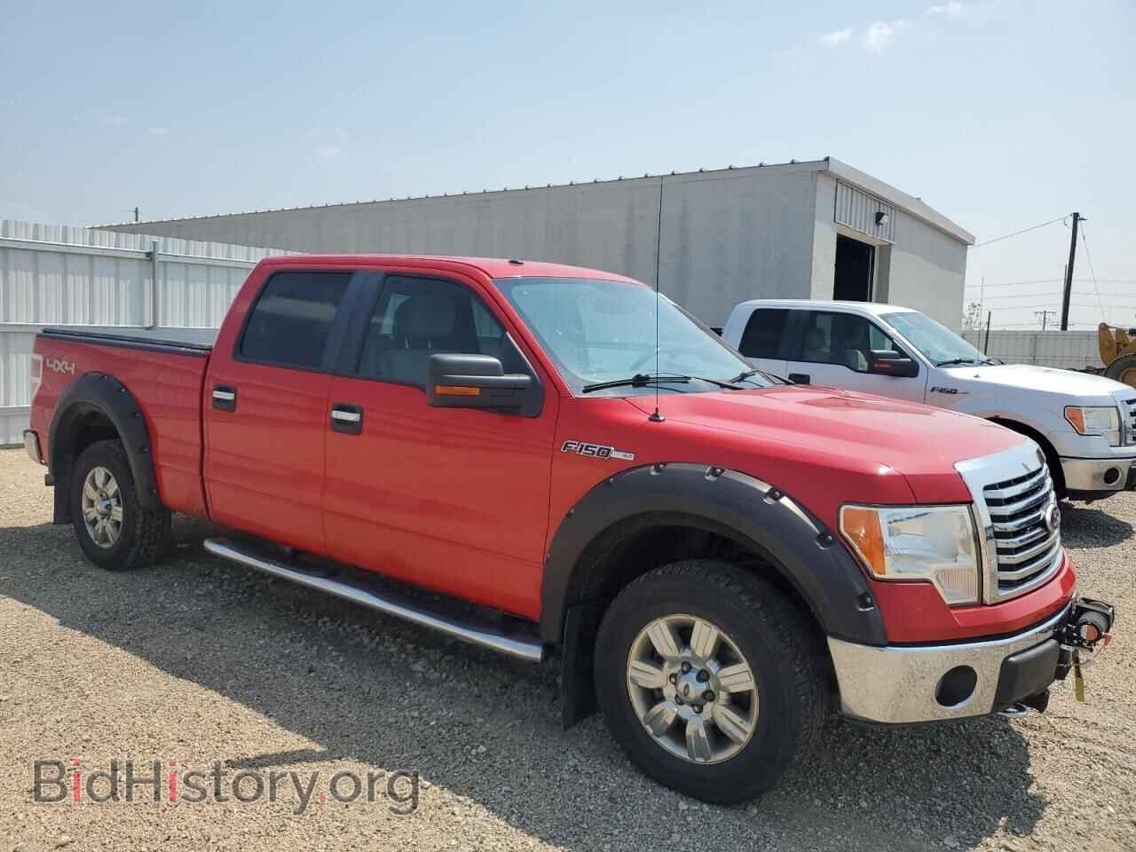 2010 FORD F-150 - VIN: 1FTFW1EV2AFB68465 - Фото 4