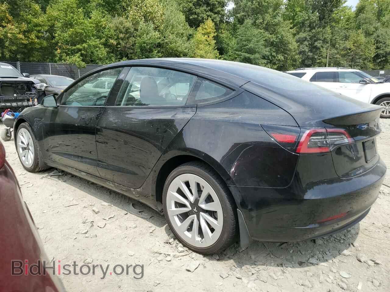2023 TESLA MODEL 3 - VIN: 5YJ3E1EA0PF452032 - Photo 2
