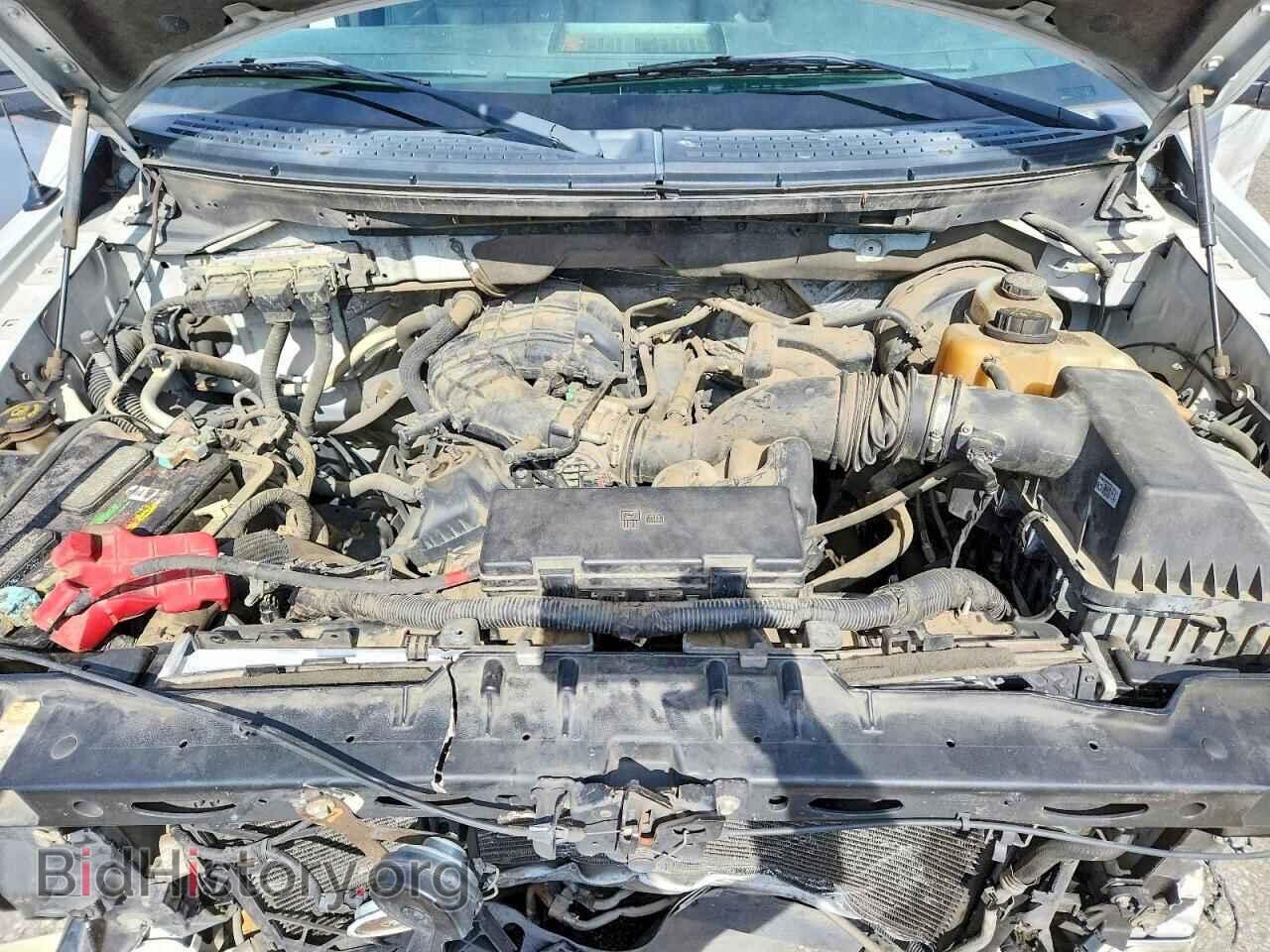 2013 FORD F150 - VIN: 1FTMF1CM2DKD04994 - Фото 11