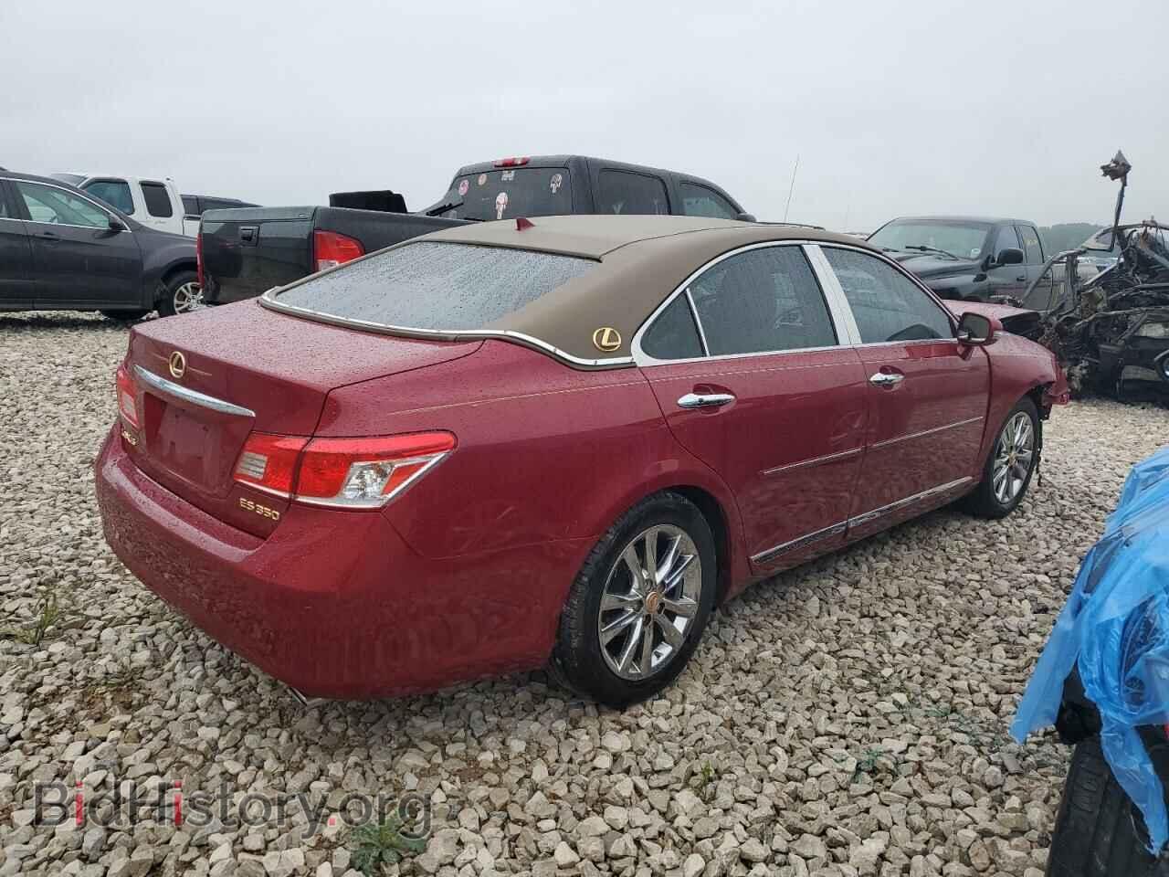 2010 LEXUS ES350 - VIN: JTHBK1EG1A2369274 - Фото 3