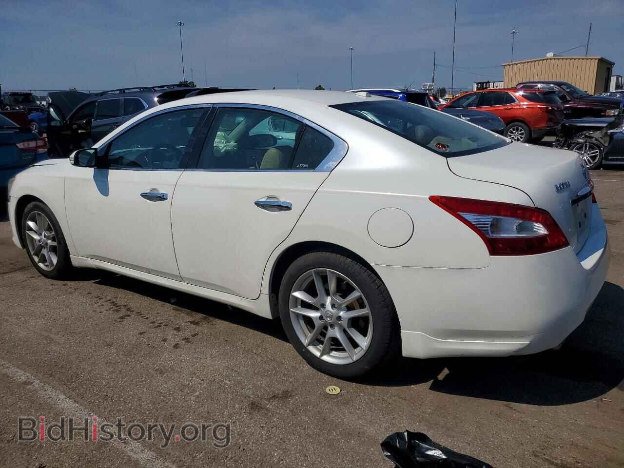 2010 NISSAN MAXIMA - VIN: 1N4AA5AP7AC848585 - Фото 2