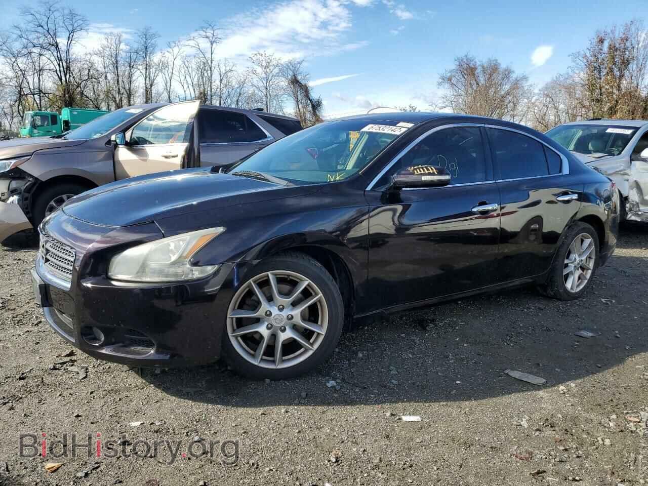 Photo 1N4AA5AP4BC820714 - NISSAN MAXIMA 2011