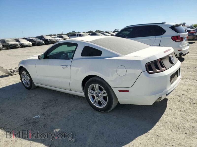 2014 Ford ALL MODELS (VIN 1ZVBP8AM3E5333854) — photo 2 of 13