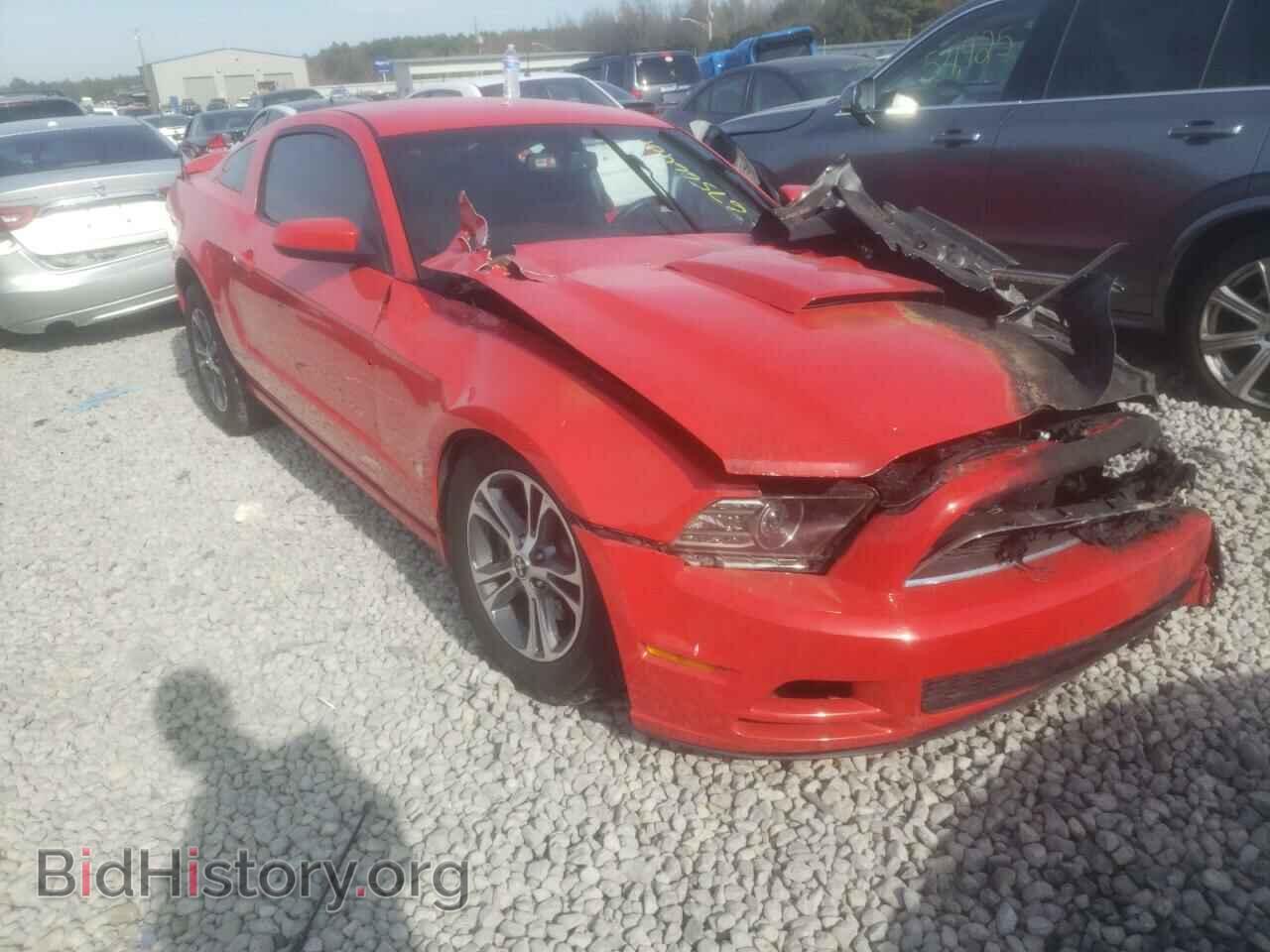 Фотография 1ZVBP8AM8E5266619 - FORD MUSTANG 2014