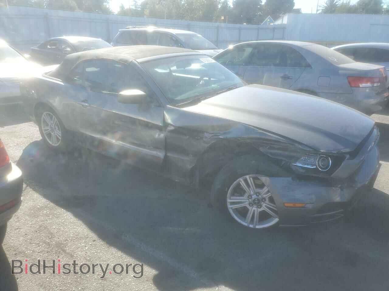 2014 FORD ALL Models - VIN: 1ZVBP8EM5E5299734 - Photo 4