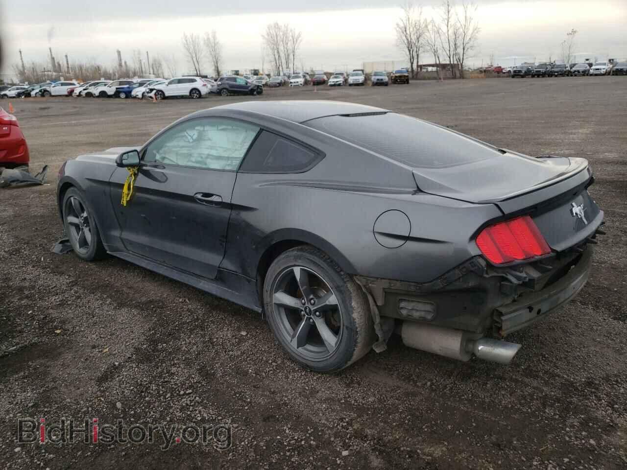 2017 FORD MUSTANG - VIN: 1FA6P8AM7H5216034 - Фото 2
