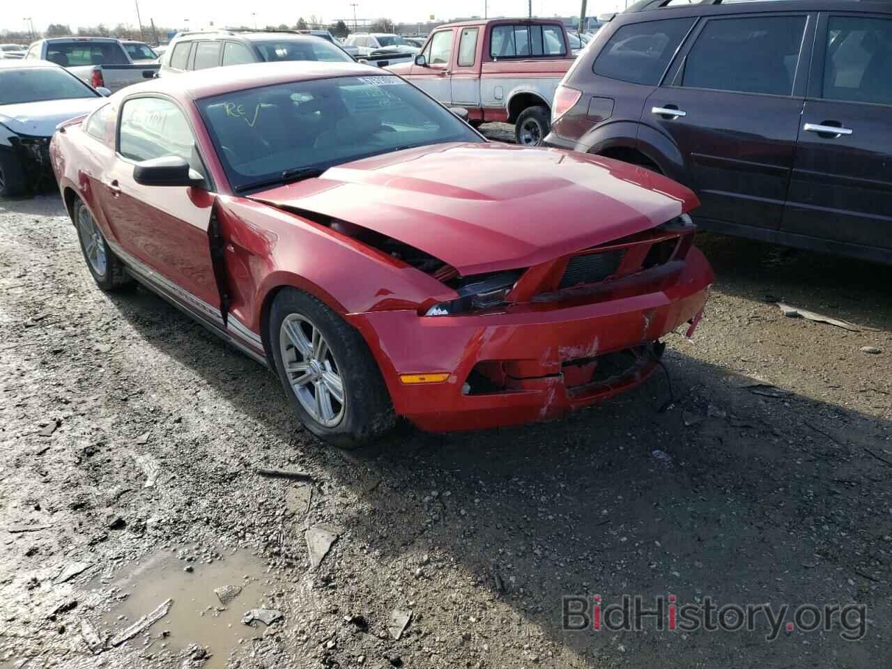 Photo 1ZVBP8AM1C5250811 - FORD MUSTANG 2012