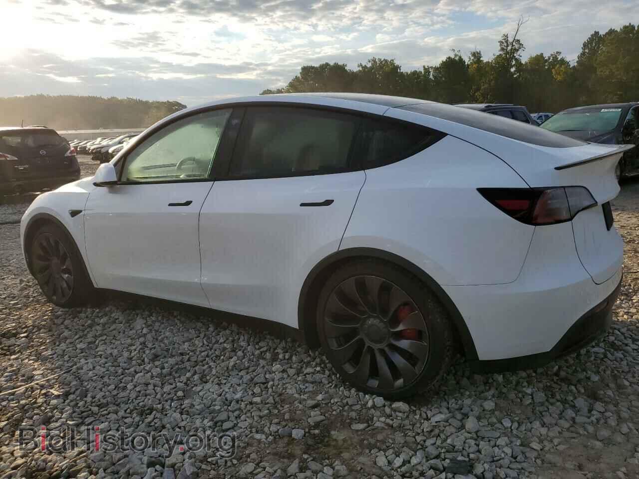 2021 TESLA MODEL Y - VIN: 5YJYGDEF2MF194721 - Фото 2