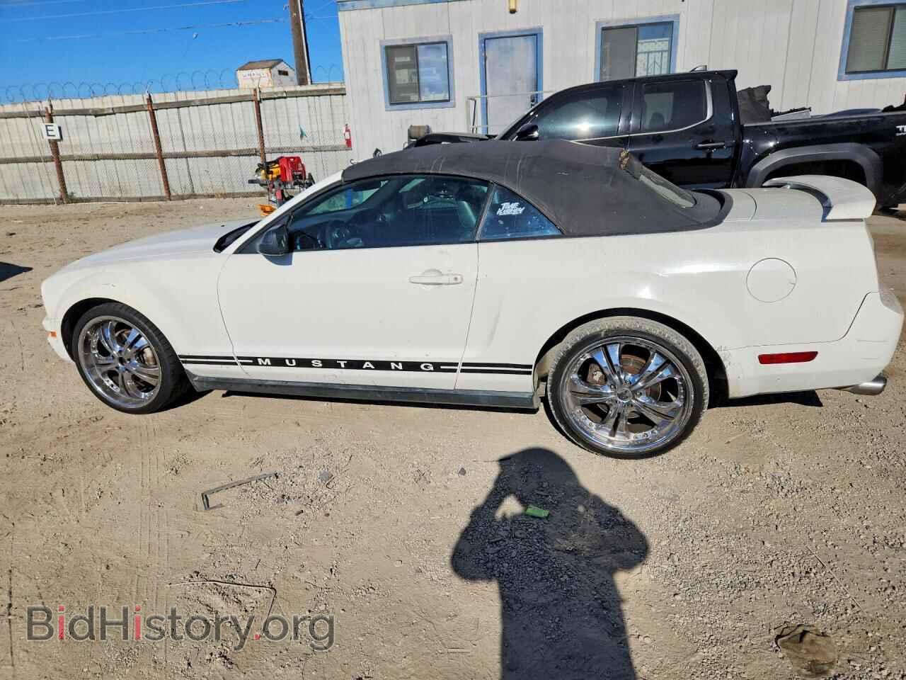 2005 FORD MUSTANG - VIN: 1ZVFT84N255242866 - Фото 2