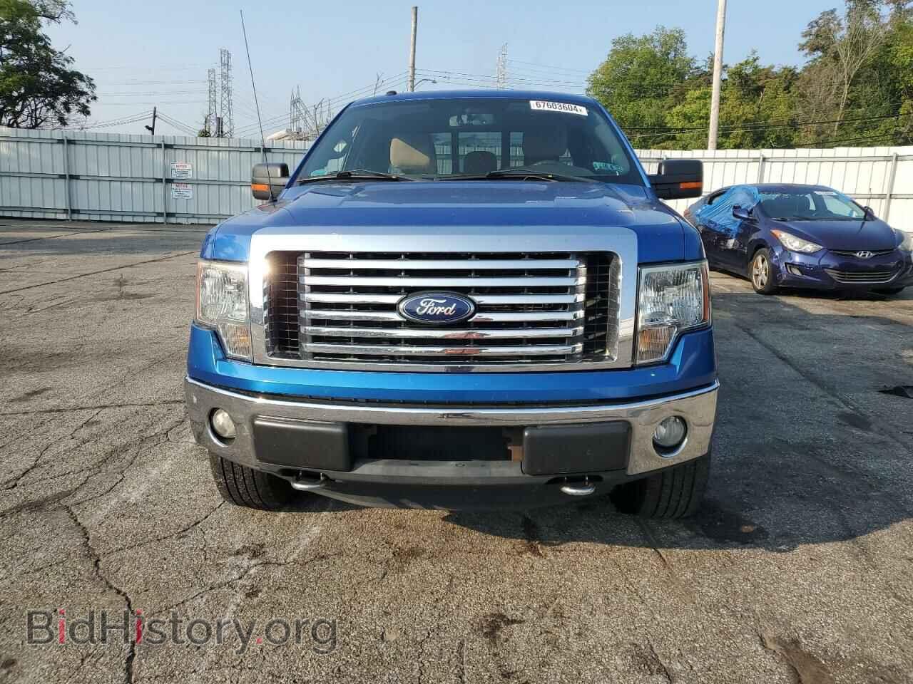 2012 FORD F-150 - VIN: 1FTFX1EF5CFA37216 - Фото 5