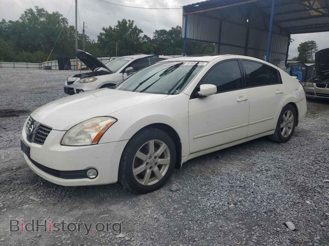 Photo 1N4BA41E96C853226 - NISSAN MAXIMA 2006