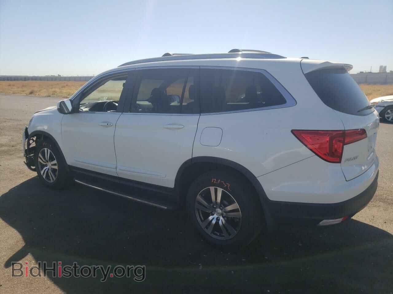 2018 HONDA PILOT - VIN: 5FNYF6H58JB061703 - Фото 2