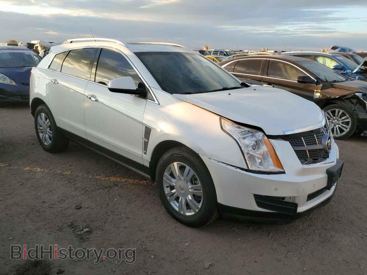 2011 CADILLAC SRX - VIN: 3GYFNDEY1BS572010 - Фото 4