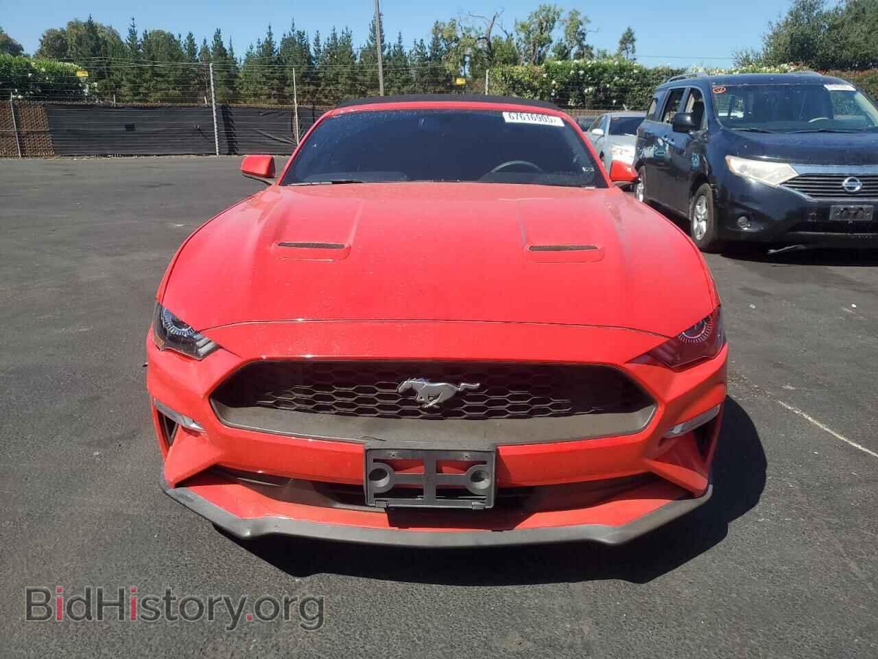 2019 FORD ALL Models - VIN: 1FATP8UH2K5193495 - Photo 5