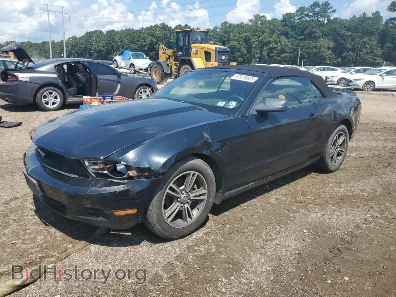 Photo 1ZVBP8EN7A5167173 - FORD ALL Models 2010