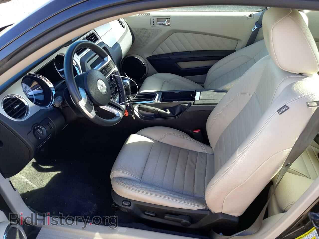 2010 FORD MUSTANG - VIN: 1ZVBP8CH2A5179986 - Фото 7