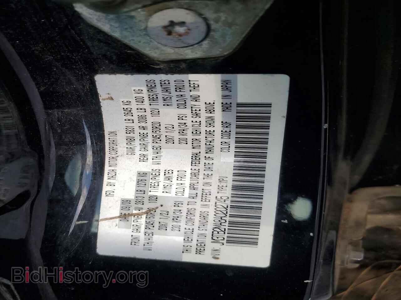 2010 MAZDA CX-9 - VIN: JM3TB2MA8A0202745 - Фото 13