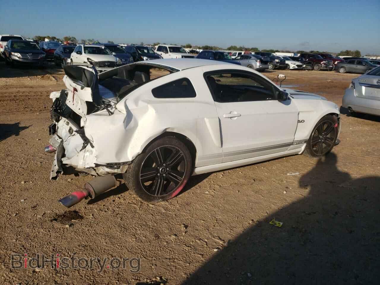 2013 FORD MUSTANG - VIN: 1ZVBP8CFXD5259331 - Фото 3