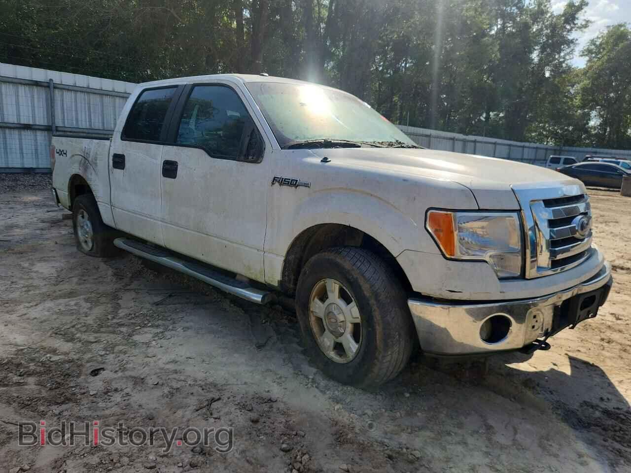 2010 FORD F150 - VIN: 1FTFW1EVXAKE62302 - Фото 4