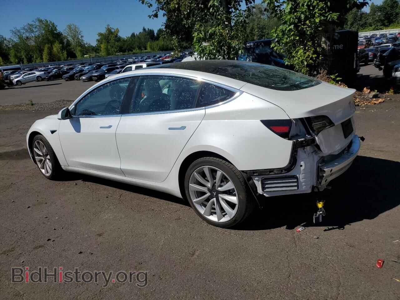 2019 TESLA MODEL 3 - VIN: 5YJ3E1EBXKF213928 - Фото 2