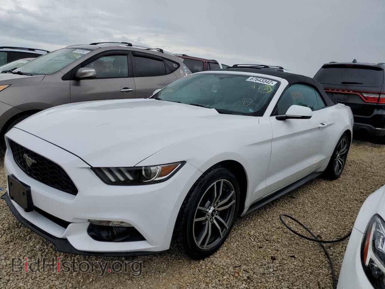 2017 FORD MUSTANG - VIN: 1FATP8UH7H5305541 - Фото 2