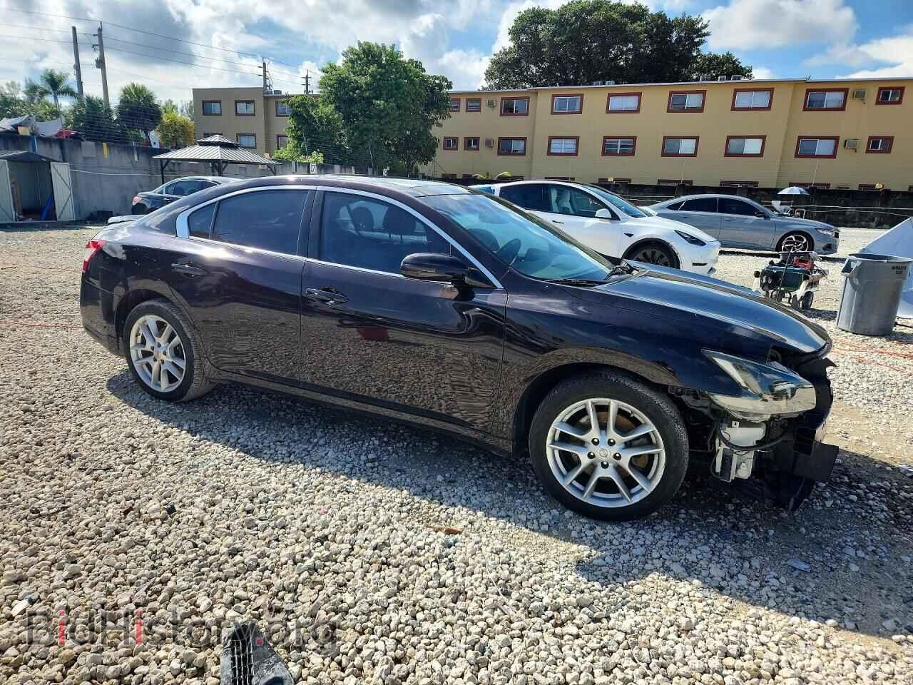 2010 NISSAN MAXIMA - VIN: 1N4AA5AP8AC856274 - Photo 4