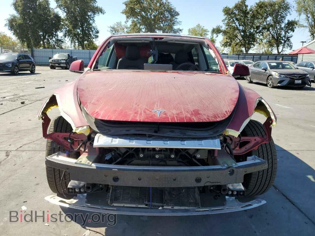 2024 TESLA MODEL Y - VIN: 7SAYGDEE4RF056552 - Фото 5