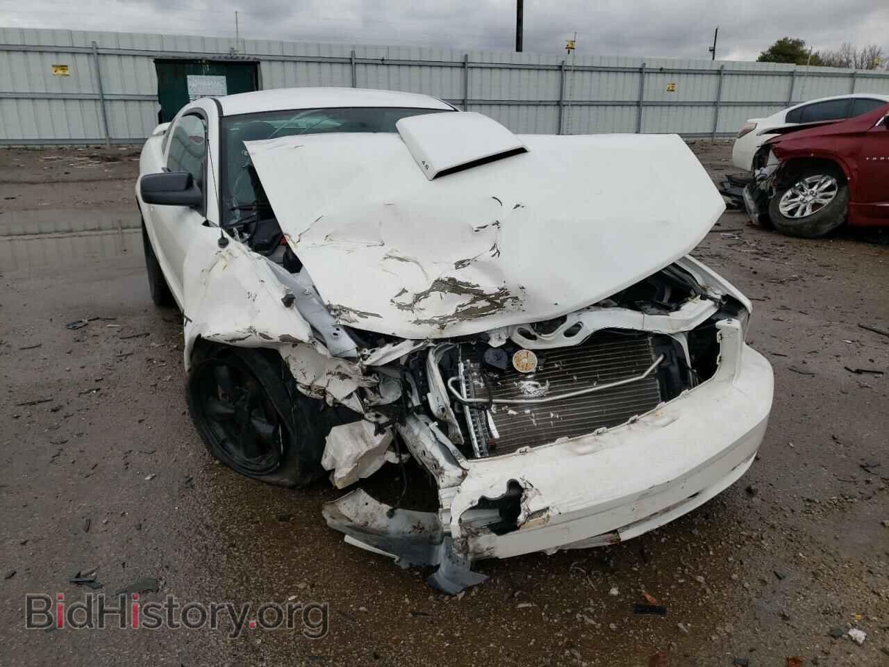 2008 FORD MUSTANG - VIN: 1ZVHT82H985116434 - Фото 9