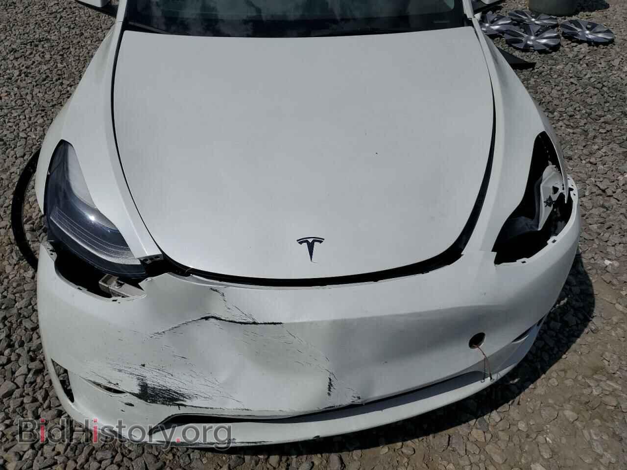 2023 TESLA MODEL Y - VIN: 7SAYGDEE2PF794816 - Фото 11