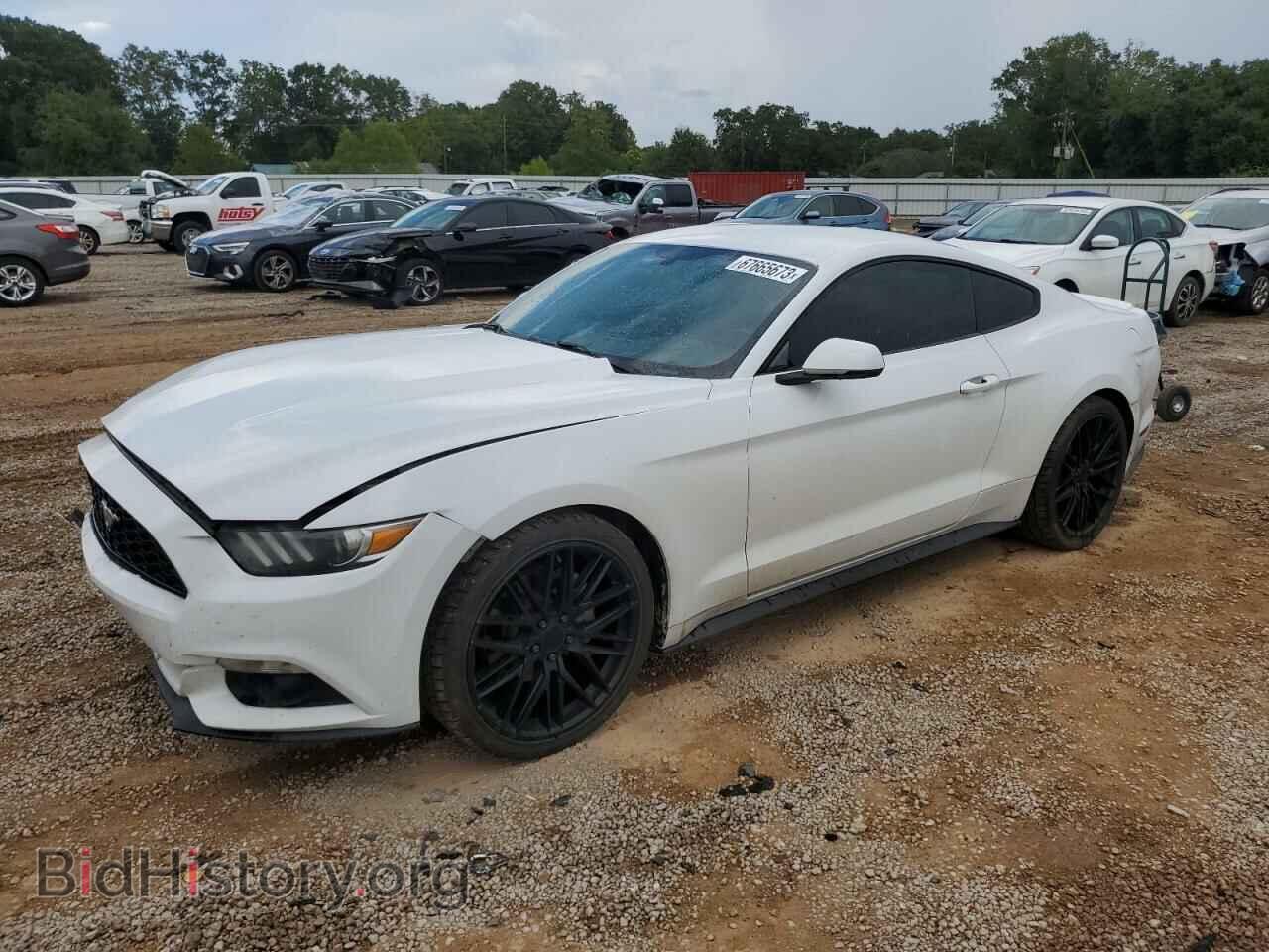 Photo 1FA6P8TH6H5210113 - FORD ALL Models 2017