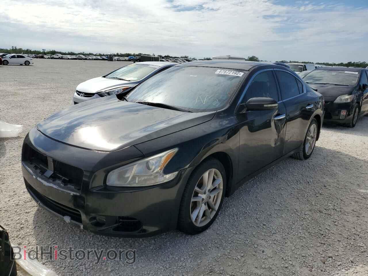 Photo 1N4AA5AP9BC857046 - NISSAN MAXIMA 2011