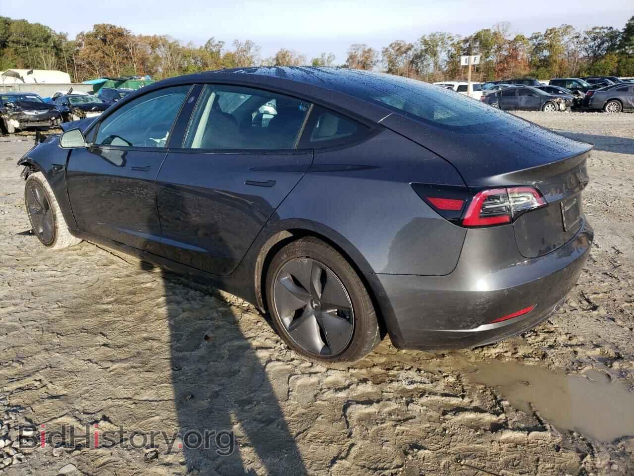 2019 TESLA MODEL 3 - VIN: 5YJ3E1EA8KF308317 - Фото 2