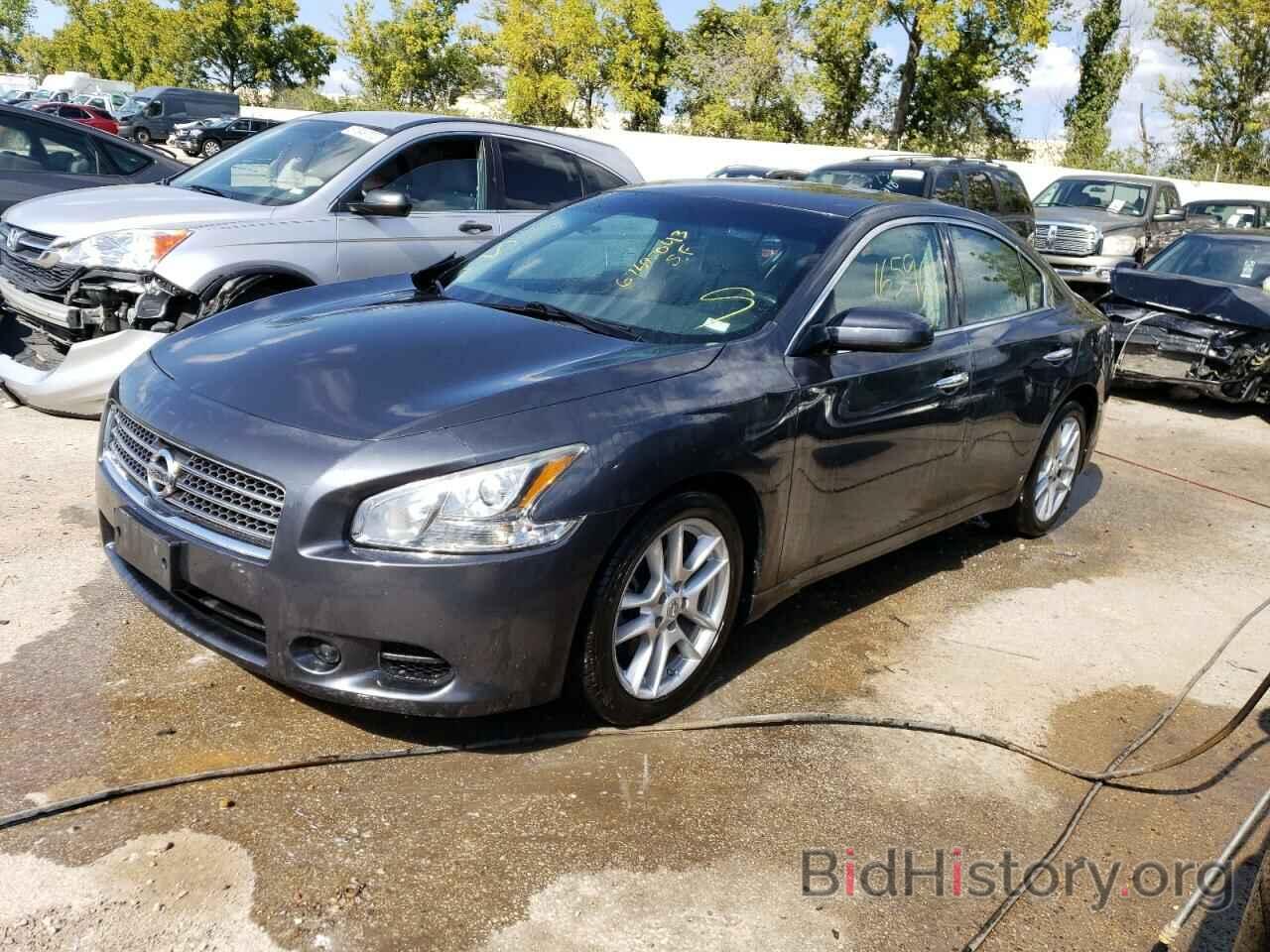 Photo 1N4AA5AP2AC826817 - NISSAN MAXIMA 2010