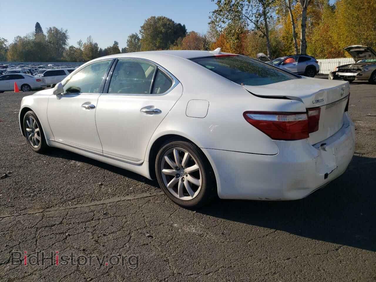 2007 LEXUS LS460 - VIN: JTHBL46F975013411 - Фото 2