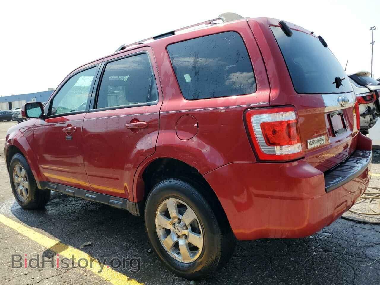 2010 FORD ESCAPE - VIN: 1FMCU0E77AKA78459 - Фото 2