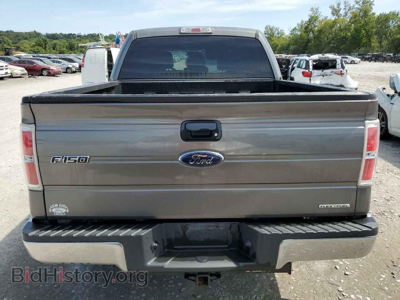 2014 FORD F-150 - VIN: 1FTFW1EF3EKE24392 - Фото 6