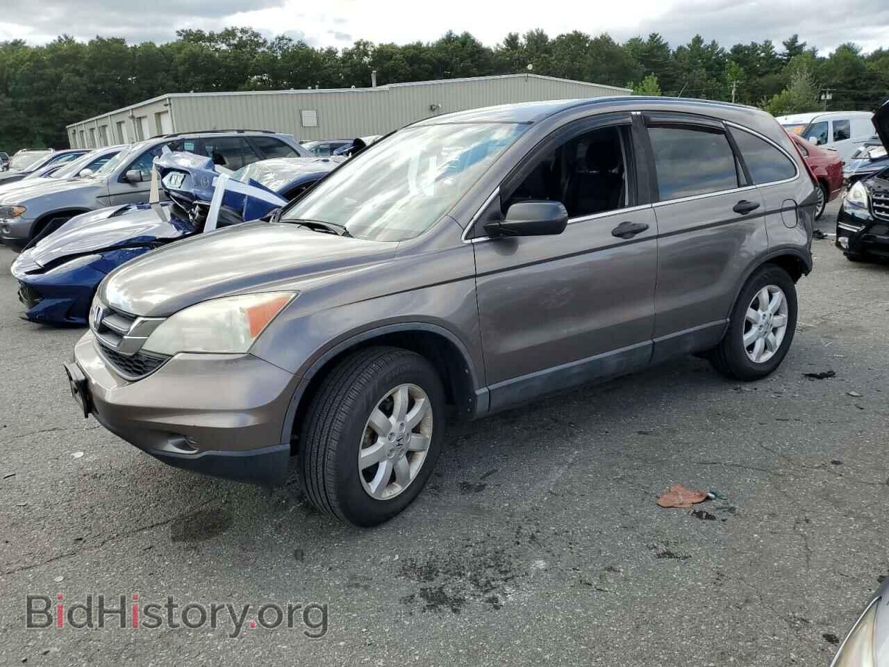 Photo 5J6RE4H48BL099380 - HONDA CRV 2011
