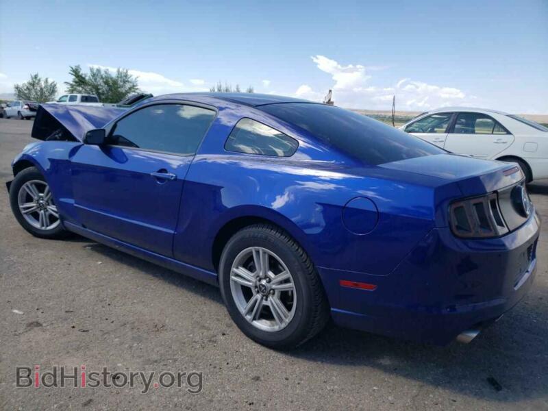 2014 Ford ALL MODELS (VIN 1ZVBP8AM0E5281146) — фото 2 из 12