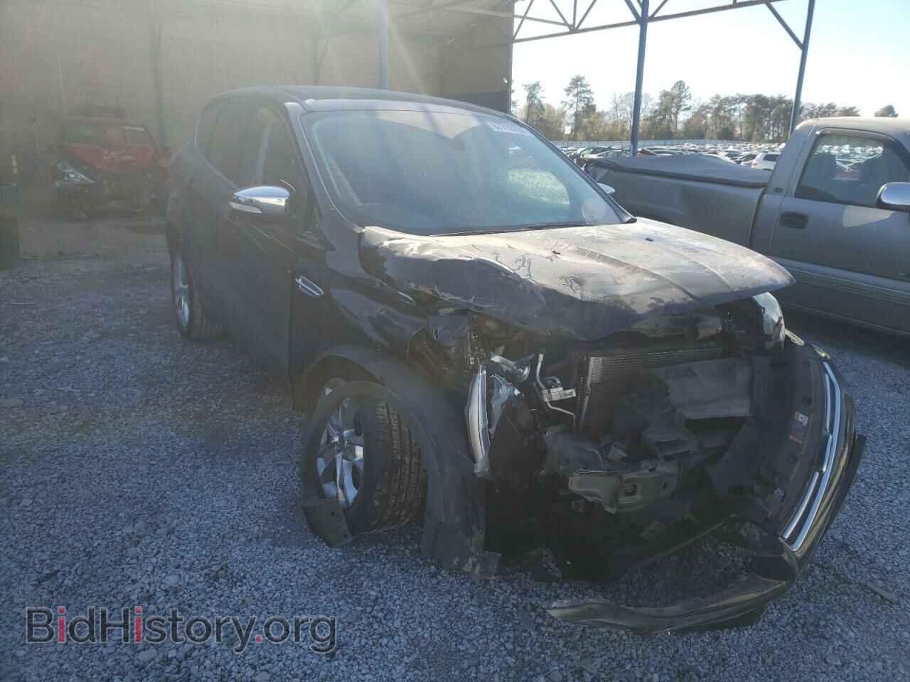 Фотография 1FMCU0H99DUC36760 - FORD ESCAPE 2013